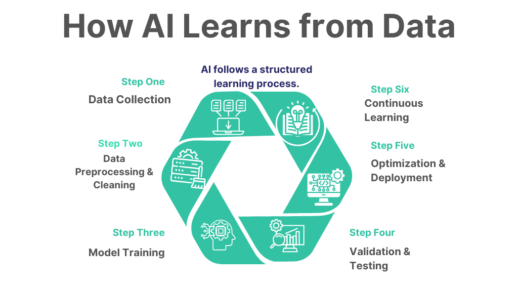 How AI Learns from Data